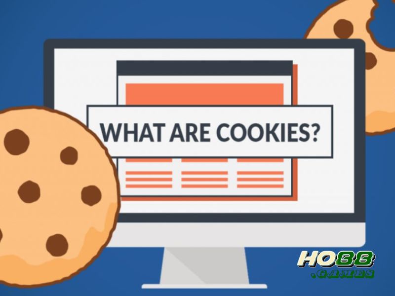 Các loại Cookies phổ biến nhất