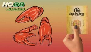 Bỏ vốn ít, thu lãi cao