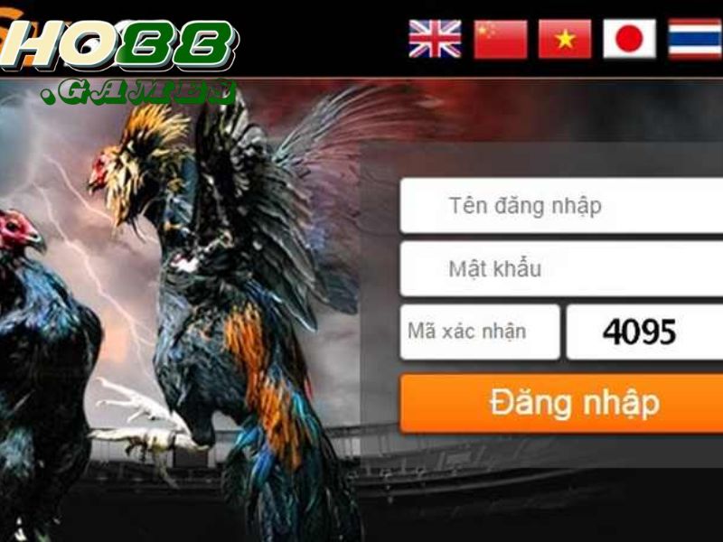 Lưu ý khi đăng nhập nhà cái