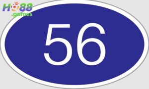 Đề về 56 hôm sau đánh con gì có thể dựa vào giải đặc biệt để giải đáp