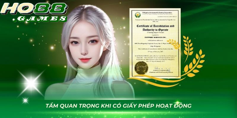 Những loại giấy phép kinh doanh hợp lệ của nhà cái