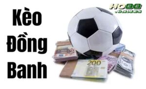 kèo hòa thường xuất hiện trong các trận đấu mà hai đội bóng có sức mạnh ngang nhau