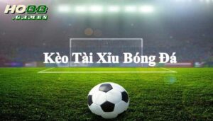 Ho88  là một trong những nhà cái có tỷ lệ cược hấp dẫn nhất